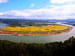 Nakdonggang River Save Project