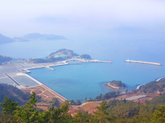 Dojang port construction works